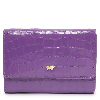 Braun Buffel
